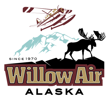 Willow Air