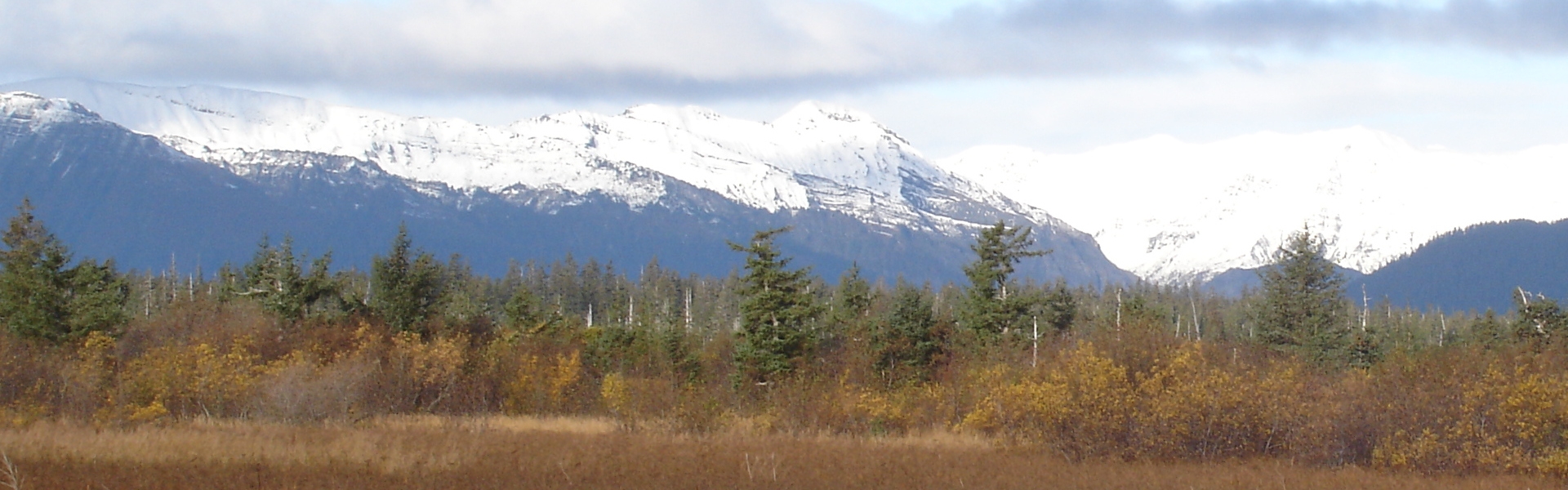 Self Guided Caribou Hunts in Alaska