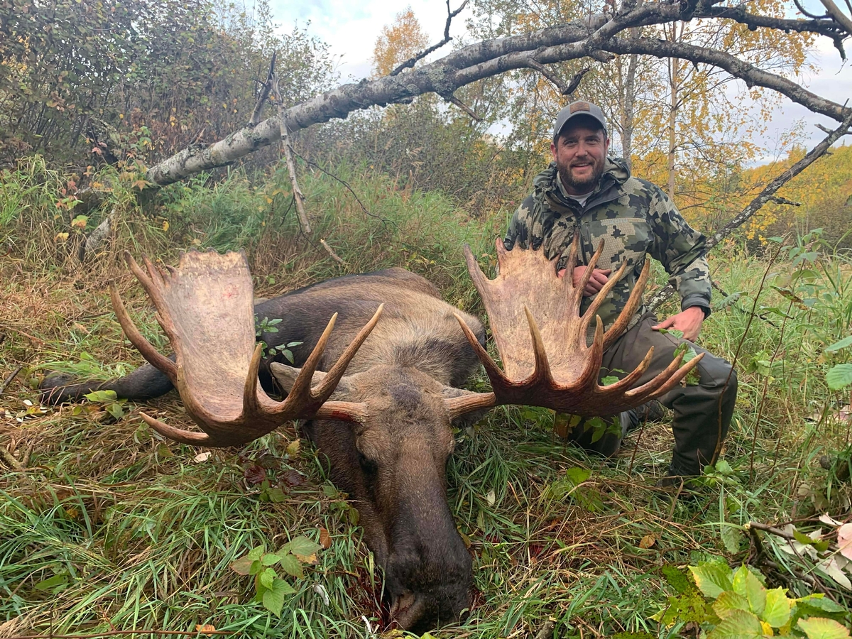 Moose Hunting 