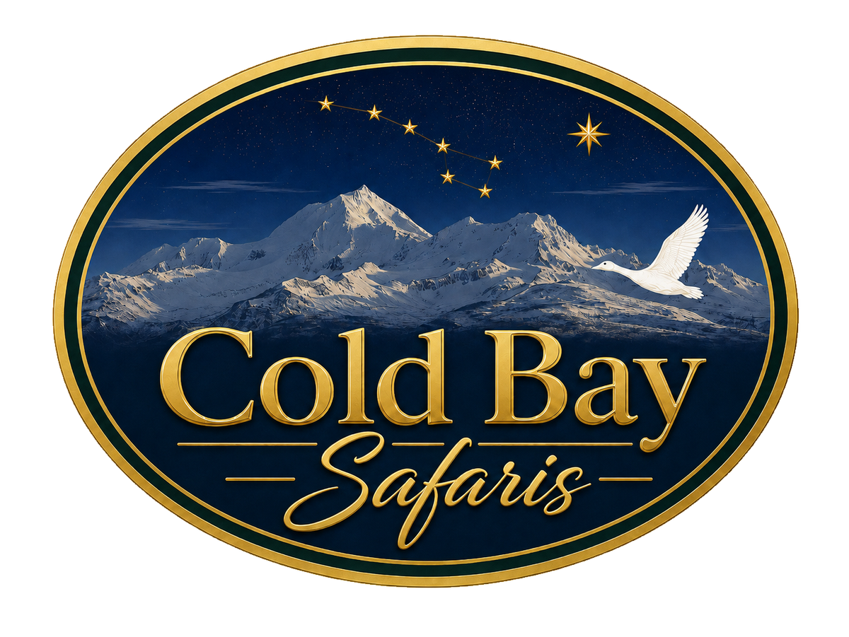 Cold Bay Safaris