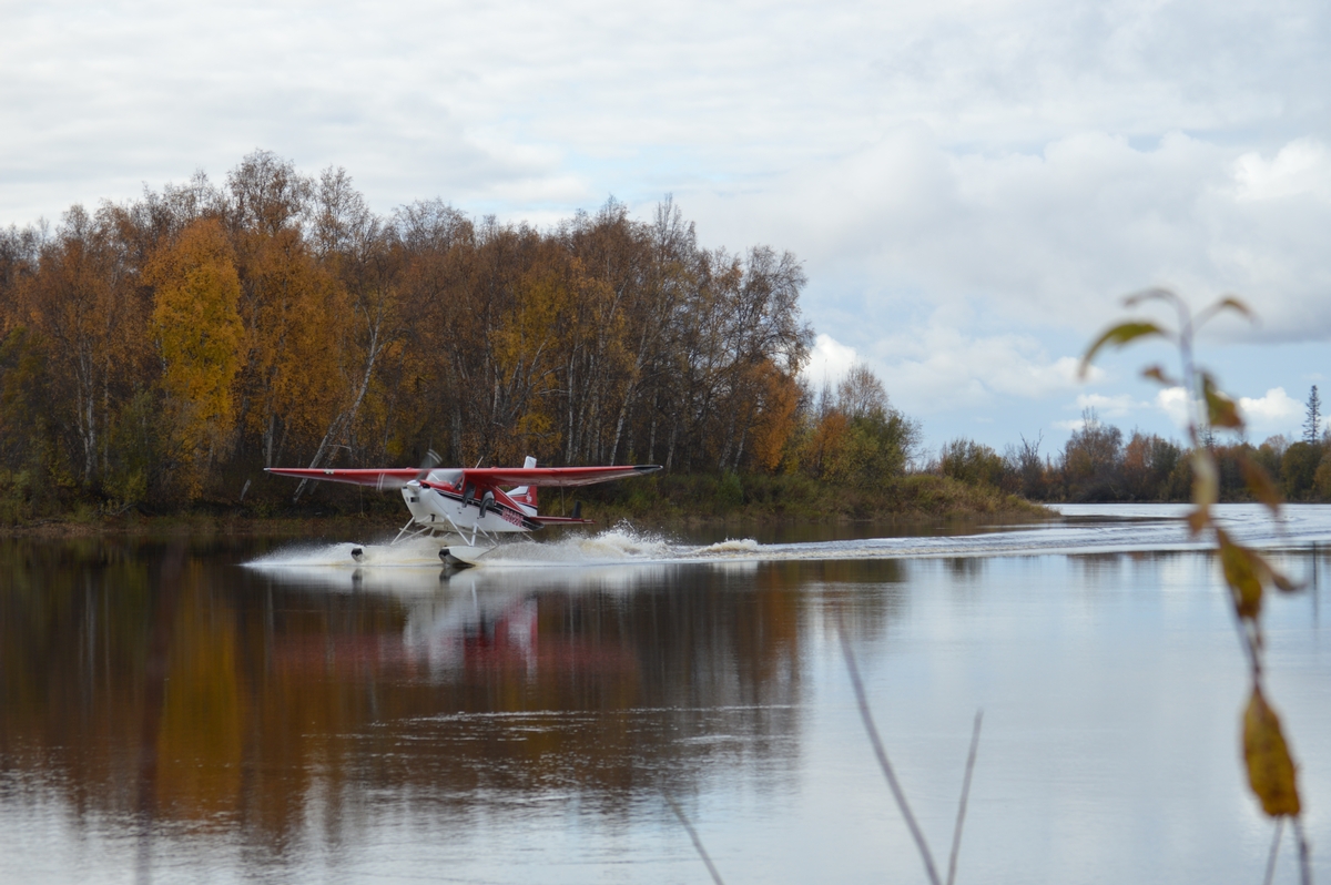 Fly in Moose Hunt Alaska