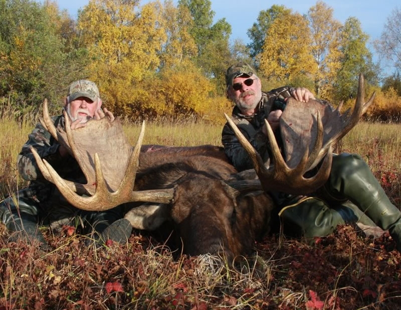 When Is Moose Season In Alaska / Are We Exacerbating Moose Declines In Severe Winters Anchorage Daily News : We did not find results for:
